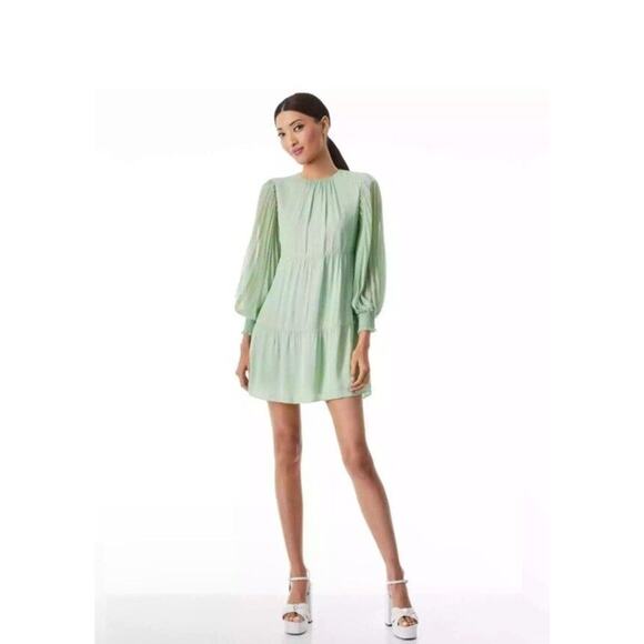 ALICE + OLIVIA Antonette Pleated Long Sleeve Dress Size S NWT - Picture 3 of 14